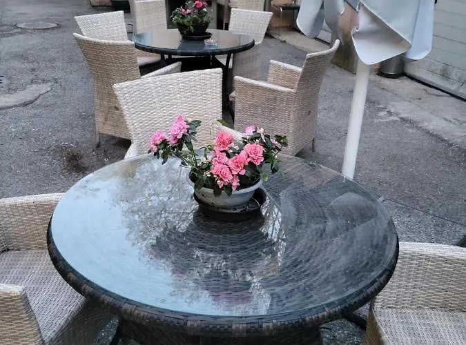 Viva Nord تالين