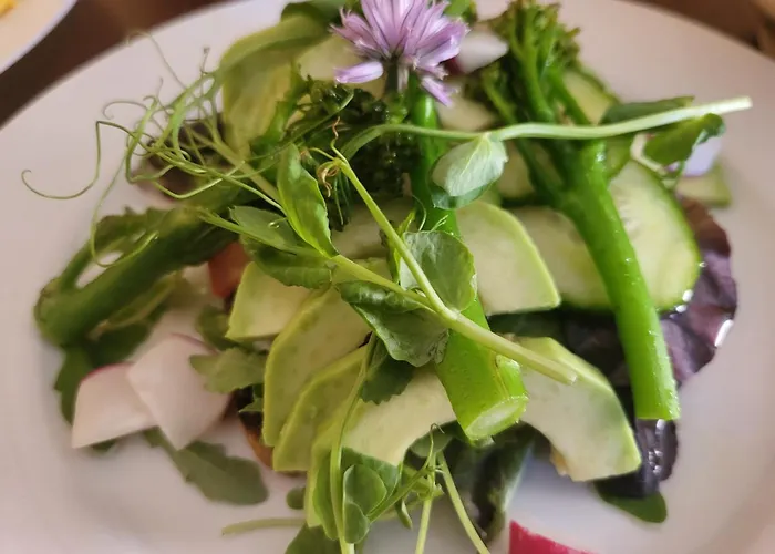 Viva Nord Ξενοδοχείο 2*